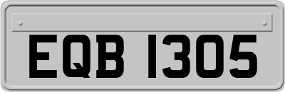 EQB1305