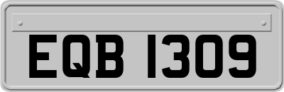 EQB1309