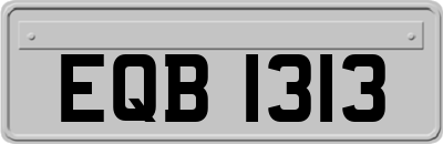 EQB1313