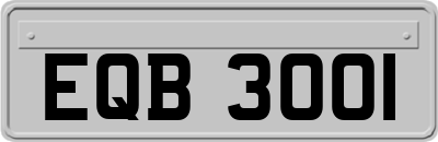 EQB3001