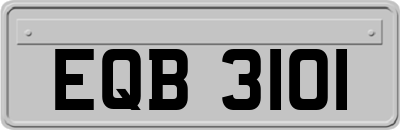 EQB3101