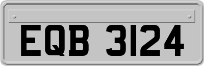 EQB3124