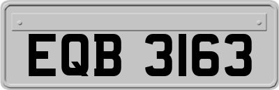 EQB3163