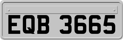 EQB3665