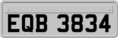 EQB3834