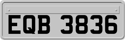 EQB3836