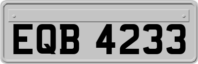 EQB4233