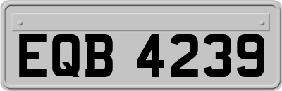 EQB4239