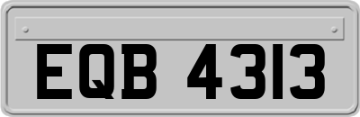 EQB4313