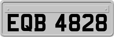 EQB4828