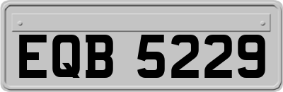 EQB5229