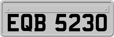 EQB5230