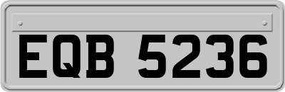 EQB5236