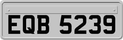 EQB5239