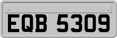 EQB5309