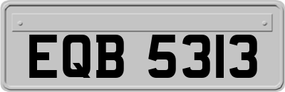 EQB5313