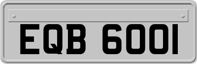 EQB6001