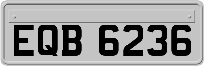 EQB6236