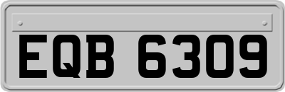 EQB6309