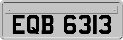 EQB6313