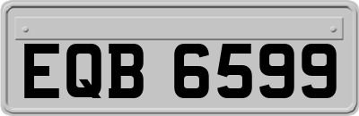 EQB6599