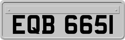 EQB6651
