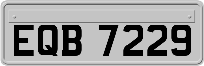 EQB7229