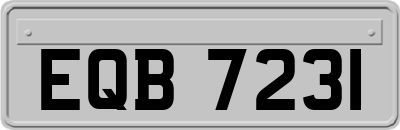 EQB7231