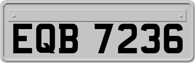 EQB7236