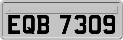 EQB7309
