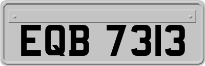 EQB7313