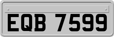 EQB7599