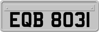 EQB8031