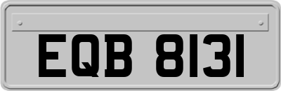 EQB8131
