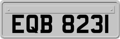EQB8231