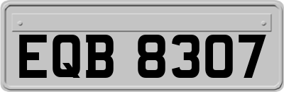 EQB8307