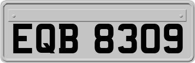 EQB8309