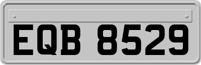 EQB8529