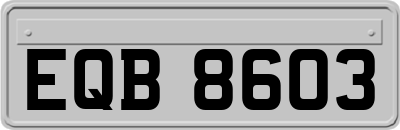 EQB8603