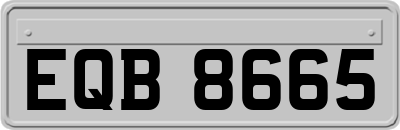 EQB8665