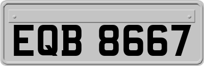 EQB8667