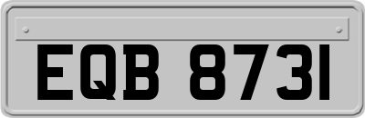 EQB8731