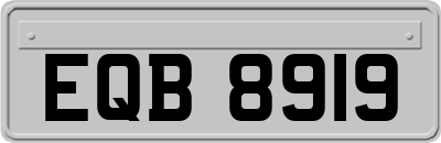EQB8919