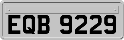 EQB9229
