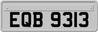 EQB9313