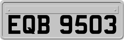 EQB9503