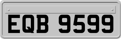 EQB9599