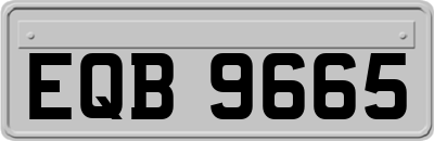 EQB9665