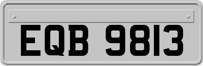 EQB9813