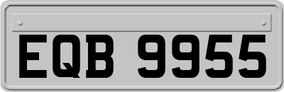 EQB9955